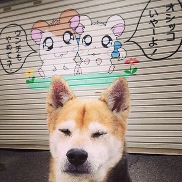 中学生篮球赛场智能评分系统开始投入使用,中学生篮球锦标赛